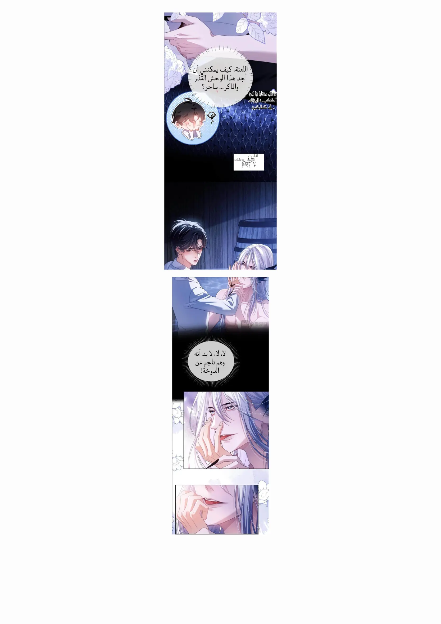 ديشارو ميرميد – الفصل 26 page 5